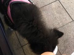 -沙洲路步行街(长安南路店)