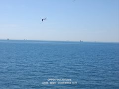 -海驴岛(荣成市)