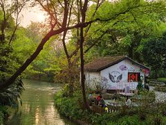 -西溪国家湿地公园