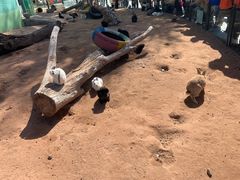 -鄂尔多斯野生动物园