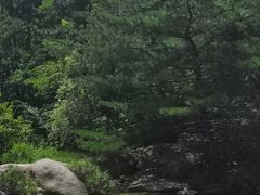 -无染寺