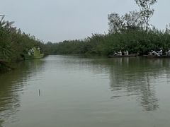 -泗洪洪泽湖湿地景区