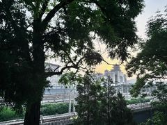 -莲花池公园