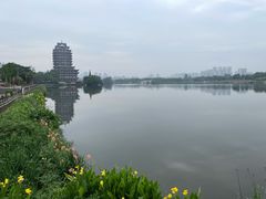 -眉山湿地公园(东坡区)