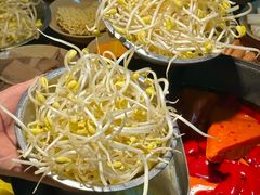 -阳阳老火锅(小南门店)