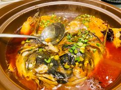 -华膳楼·安徽地标美食·中华餐饮名店(文化公园店)