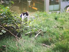 -扬州瘦西湖汇金酒店