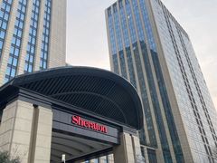 -济南喜来登酒店-盛宴自助西餐厅·综合自助