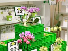 -王府井百货(总府店)