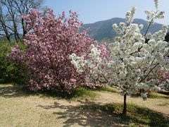 -国家植物园南园