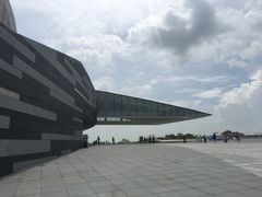 -野狸岛