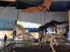 -湖南省地质博物馆