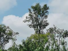 -府河摄影公园