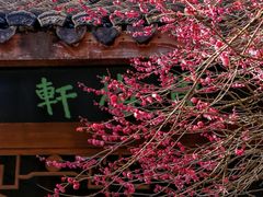 -杭州植物园