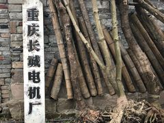 -驿舍·民國老营房院子私房菜(科学会堂店)