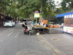-马文章胖子甑糕(洒金桥店)