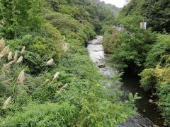 -阿哈湖国家湿地公园