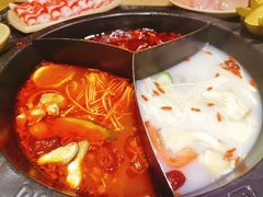 -蜀大侠火锅(森兰花园城店)
