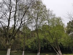 -洋湖国家湿地公园