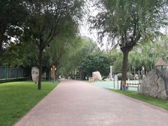 -唐城墙遗址公园