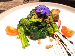 菠菜沙拉-莲西餐(曲江店)