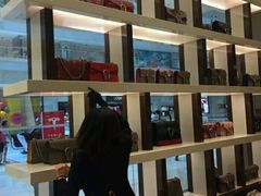 -Gucci(北京金融街购物中心店)