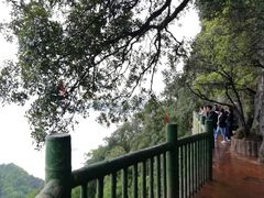 -塔云山