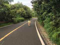 -宝界山林公园