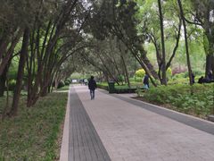 -迎泽公园