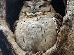 -吉友粥底火锅(方斜路店)