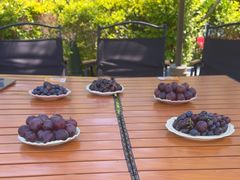 -天毓山庄·餐厅