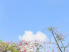 -海珠湖公园