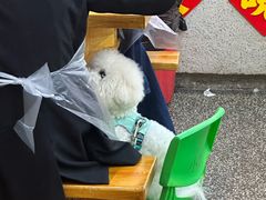 -赵美丽·重庆社区火锅·直营店(火车东站·中豪国际店)