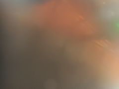 -洪氏嗨捞·猪肚鸡火锅(阳光天地店)