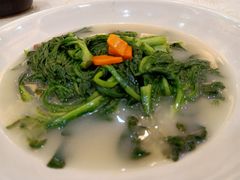 -有腥气私房菜·寻味顺德