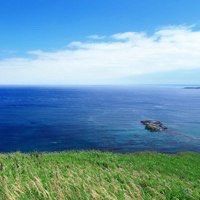 -薇兰专业脱毛连锁机构