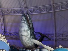 -烟台海昌鲸鲨海洋公园