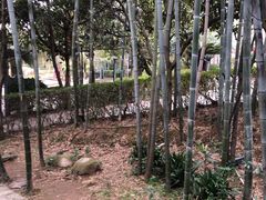 -故乡缘·香格里拉山庄(冷竹路店)