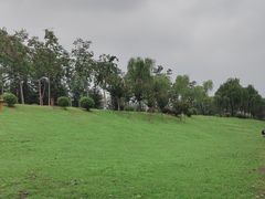 -洨河生态公园