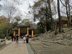 -灵光寺