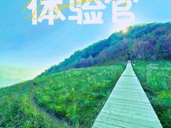 -白草畔自然风景区