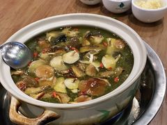 -杨记山珍鸡煲菌汤锅