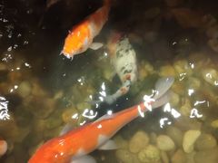 -宴桃园(门头沟店)