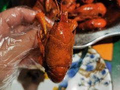 -大孩龙虾(体育场旗舰店)