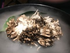 -煲宫猪肚鸡(晶品店)