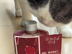 -混果汁(喜荟城店)
