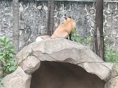 -广州动物园