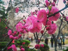 -山东师范大学(千佛山校区)