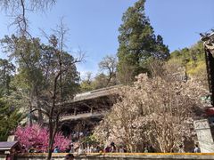 -潭柘寺景区
