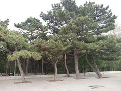 -长春市南湖公园